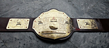 Big Gold Wrestling Heavyweight Championship Replica Title Belt Ric Flair