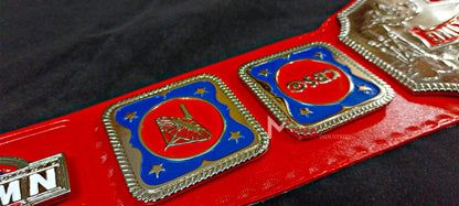 NWA Television Heavyweight Championship Belt Replica 6MM Chrome | Mirza Industries