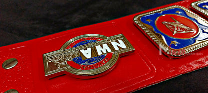 NWA Television Heavyweight Championship Belt Replica 6MM Chrome | Mirza Industries