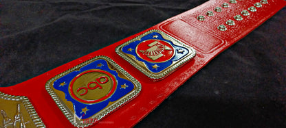 NWA Television Heavyweight Championship Belt Adult Size 6MM Dia Casting